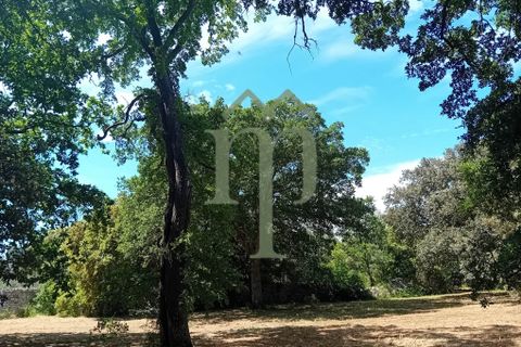 Helårsgrund i Ostuni, Brindisi, Ostuni - € 410.000 | Ref: Terreno Rella14 - foto 2